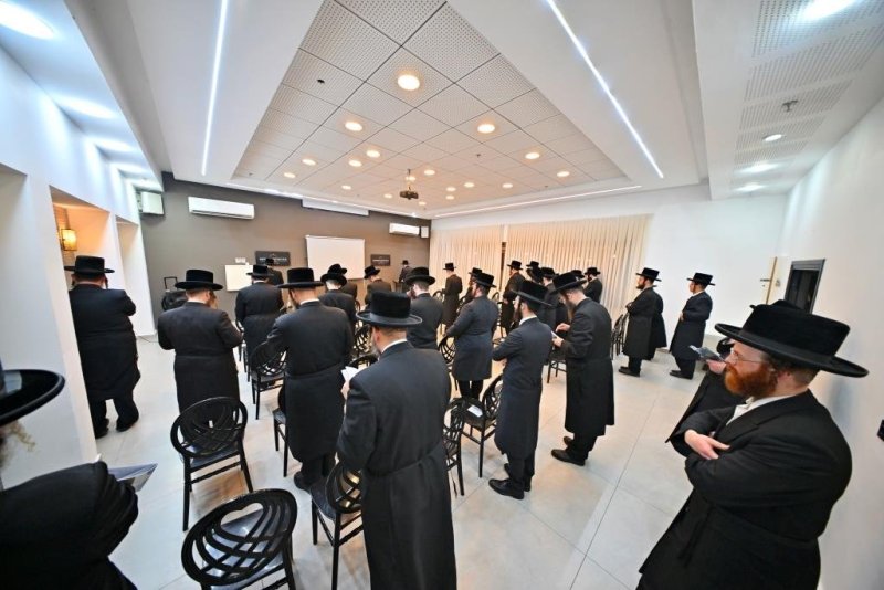 יהושע פרוכטר