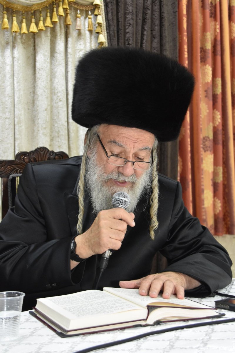 יהודה פרקוביץ