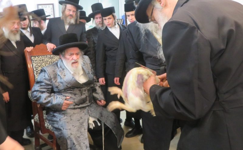 באדיבות המצלם