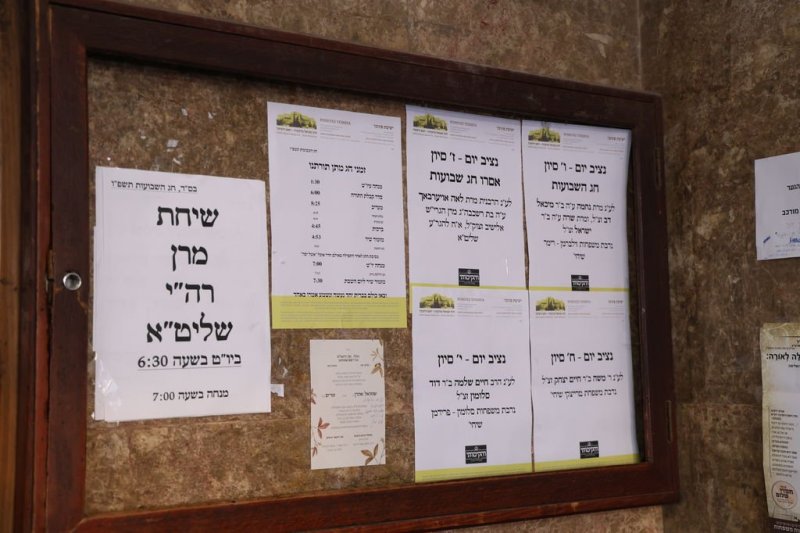 נתי פרל
