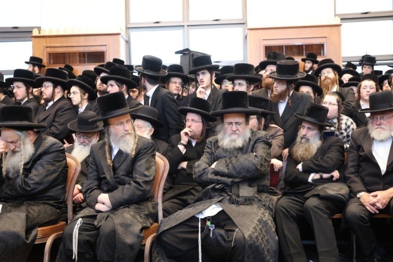 שלומי טריכטר