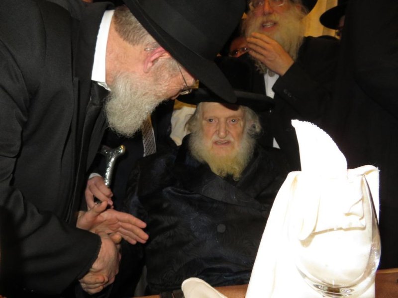 שלומי טריכטר