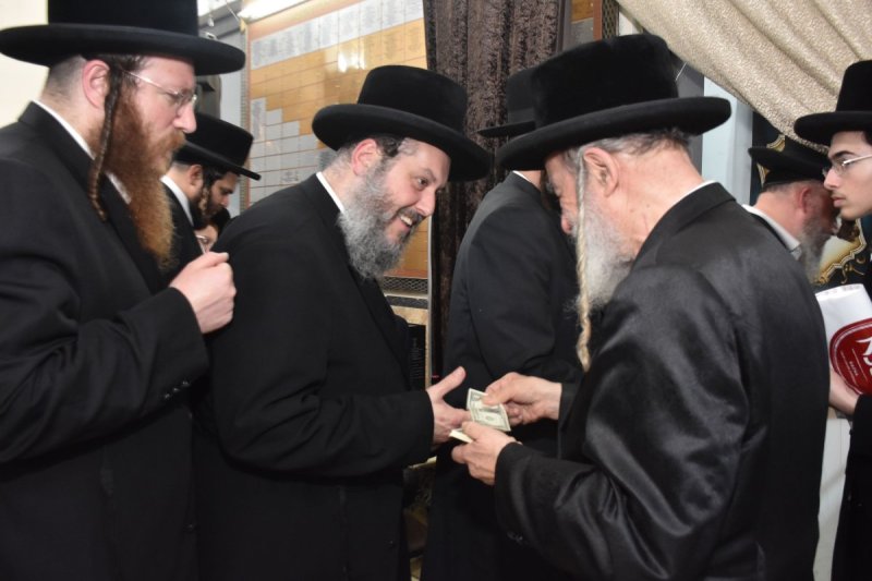 יהודה פרקוביץ