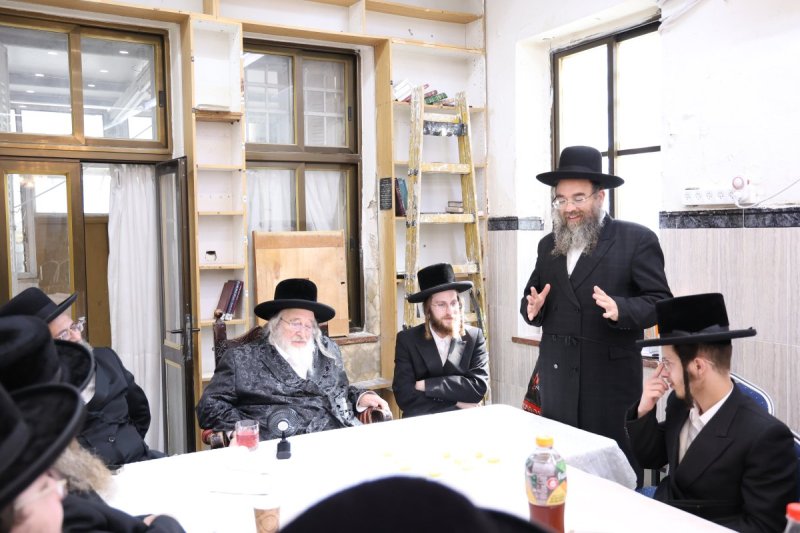 שלוימי טרייכטר