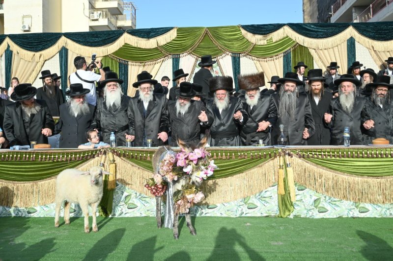 משה גולדשטיין