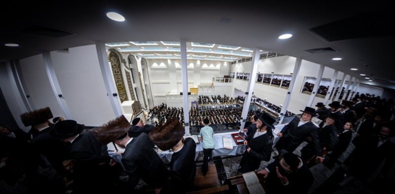 האחים לאנטשעווסקי ואושי וויינגארטן