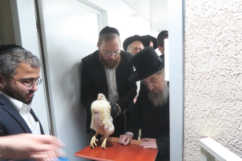 מ. אדלר