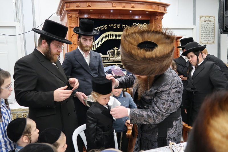 י. פריד