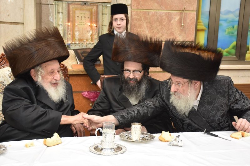 יהודה פרקוביץ