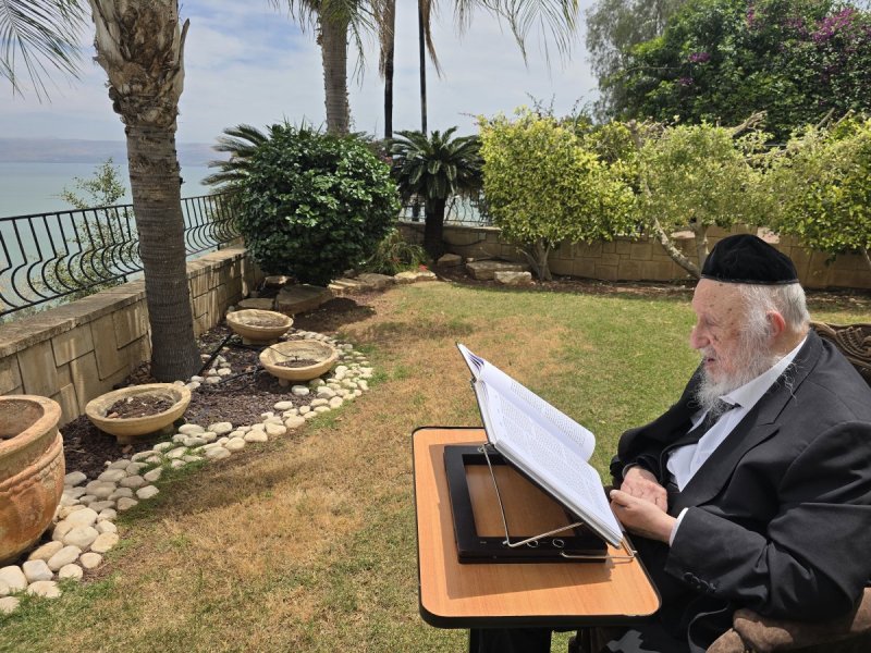 שוקי לרר