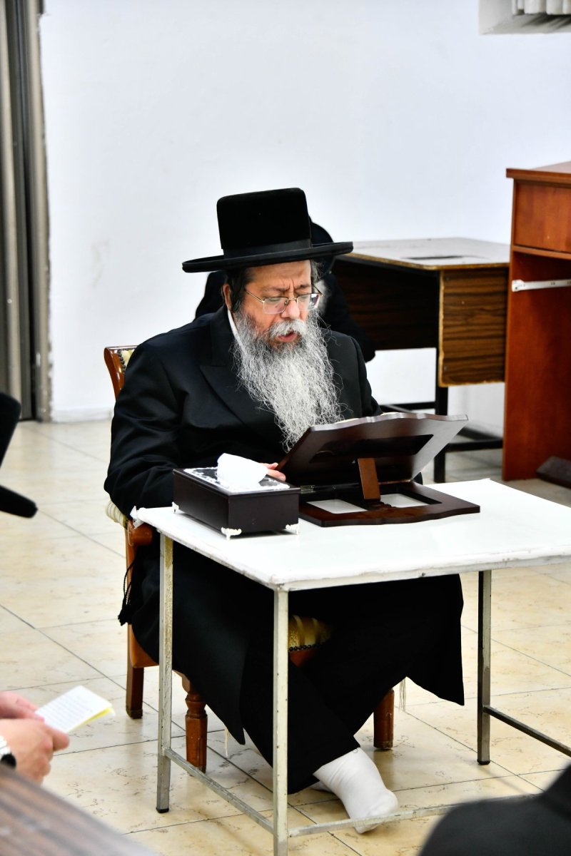 שוקי לרר