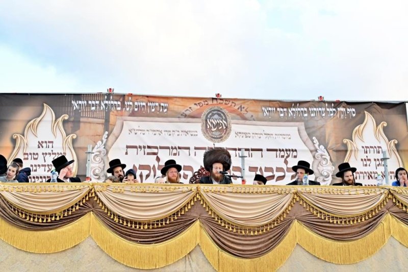 יהושע פרוכטר