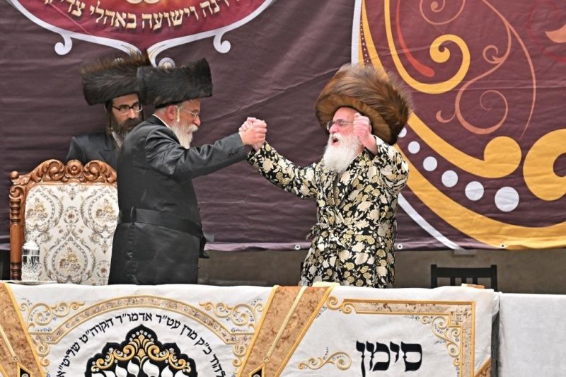 יהושע פרוכטר