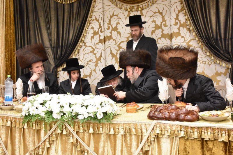 יהודה פרקוביץ