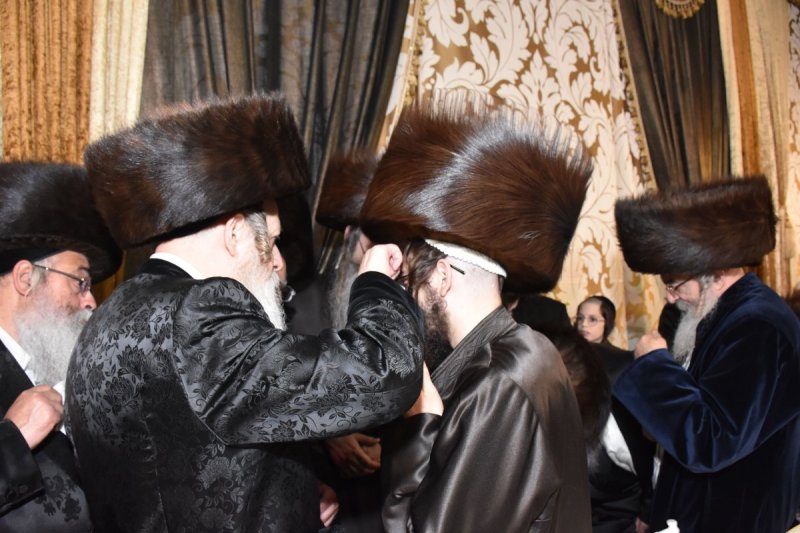 יהודה פרקוביץ