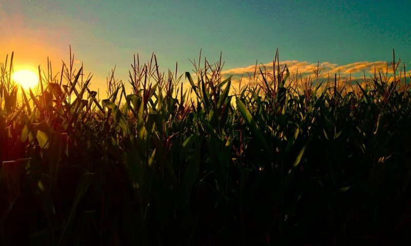 הפוגה זמנית בלבד: מתי הגשם חוזר ואיפה מחכה לכם אובך?