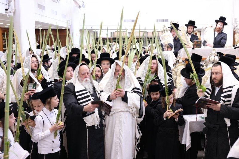 שוקי לרר, אברומי ברגר ומ.ש
