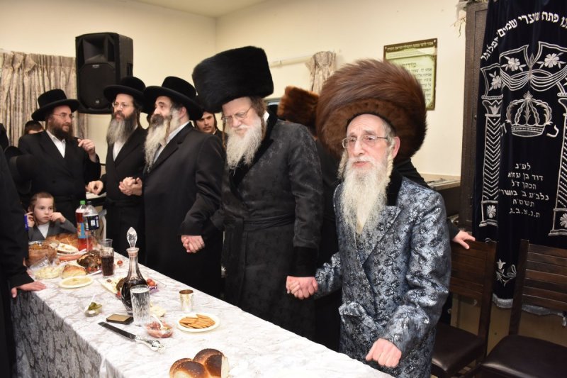 יהודה פרקוביץ