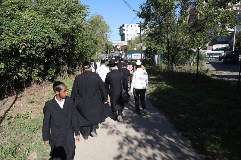 יהודה וויס