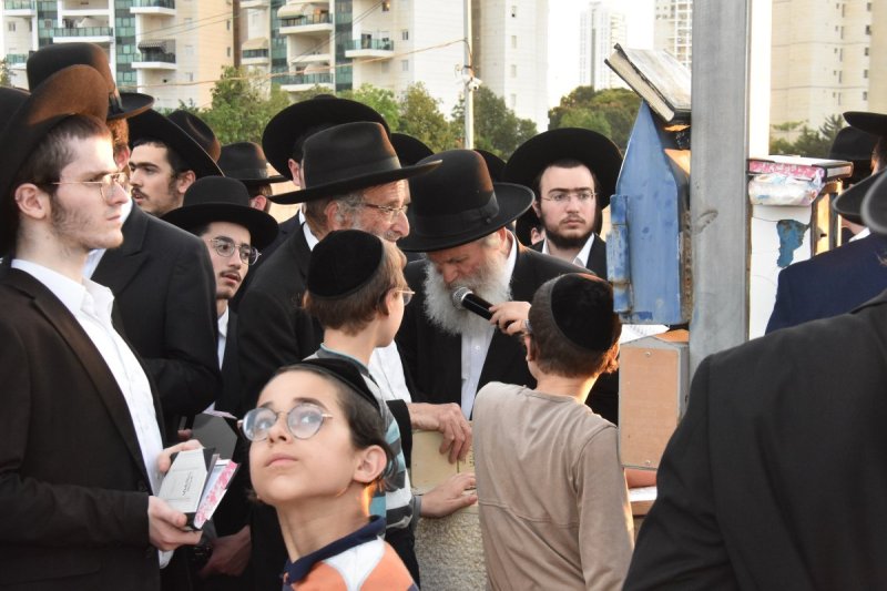 יהודה פרקוביץ