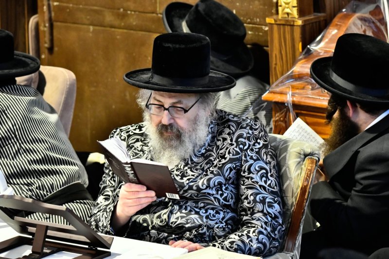 שוקי לרר