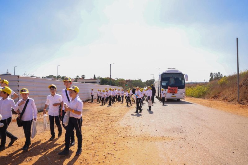 דניאל נפוסי