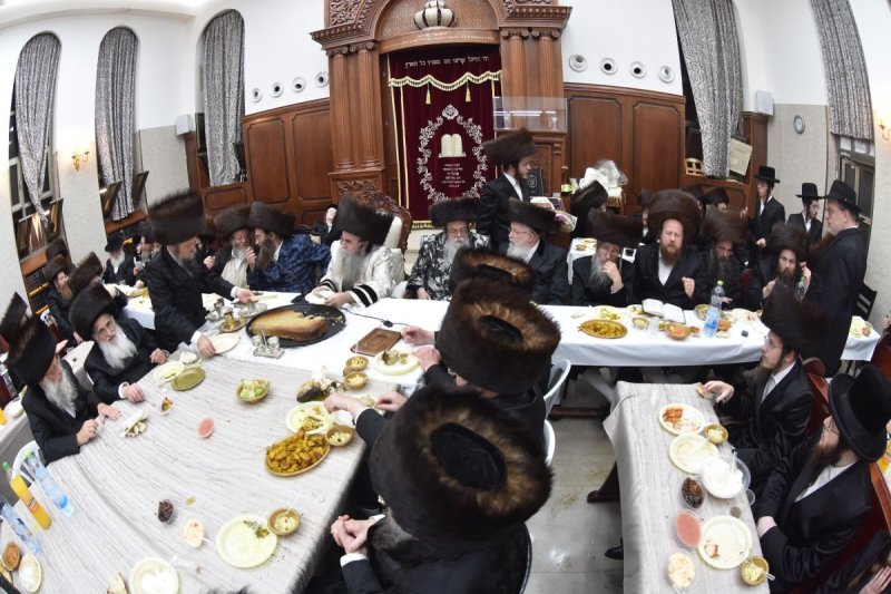 יהודה פרקוביץ