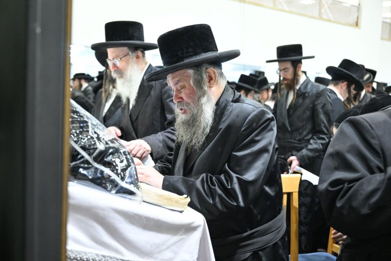 משה גולדשטיין