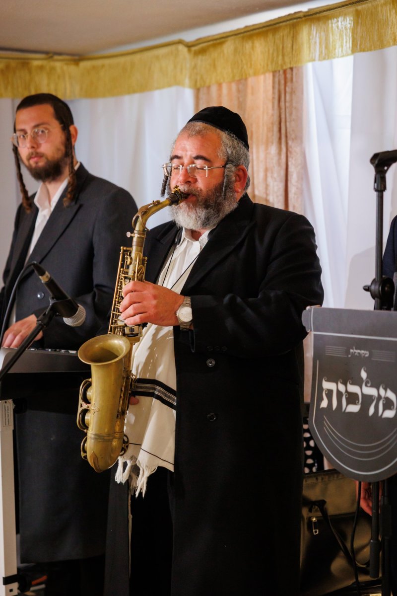 דניאל נפוסי