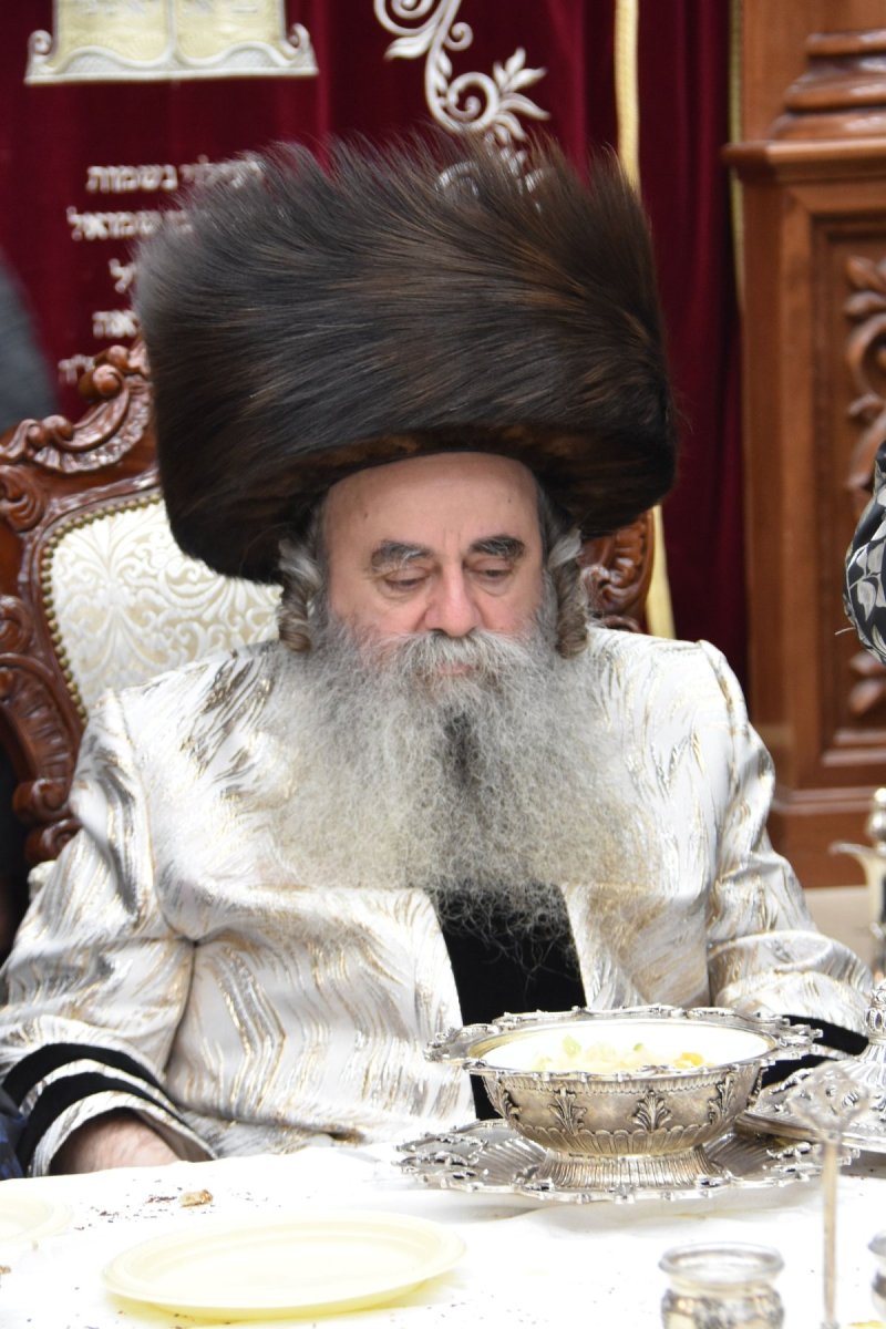 יהודה פרקוביץ