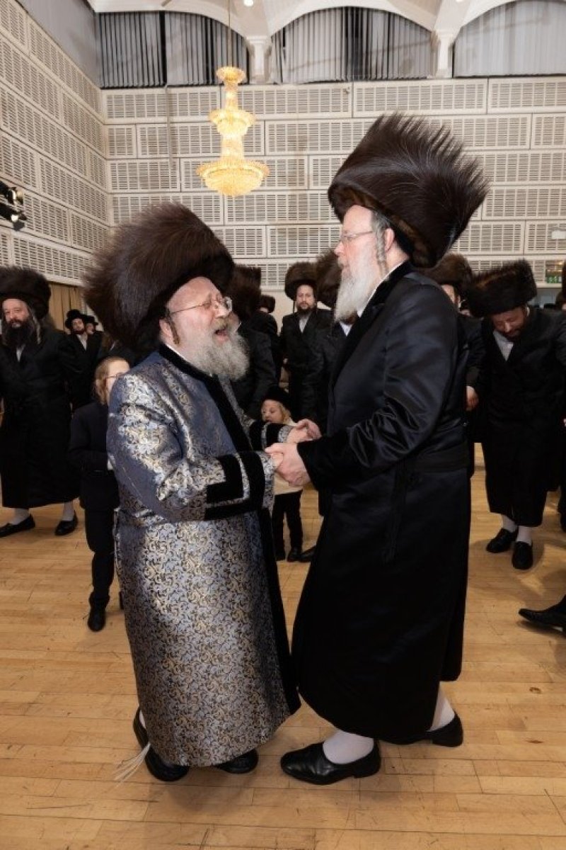 יענקי ורטהיימר