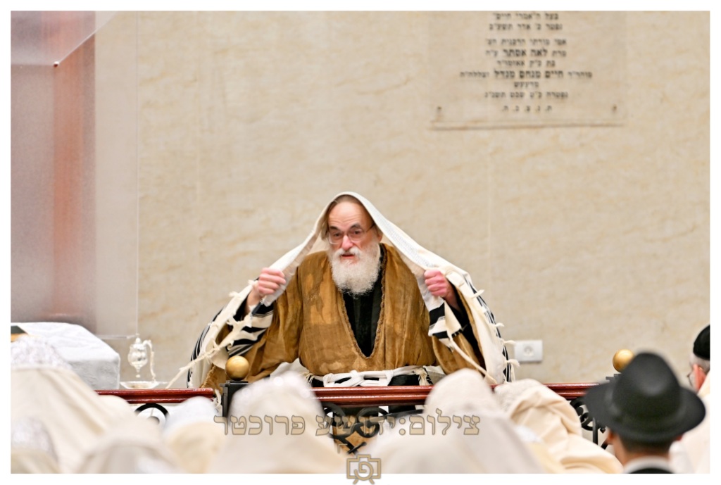 יהושע פרוכטר