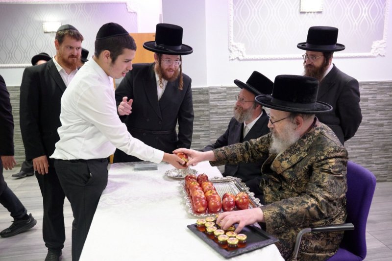 דודי בראון