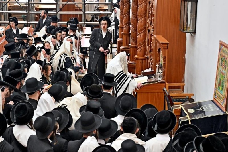 יהושע פרוכטר