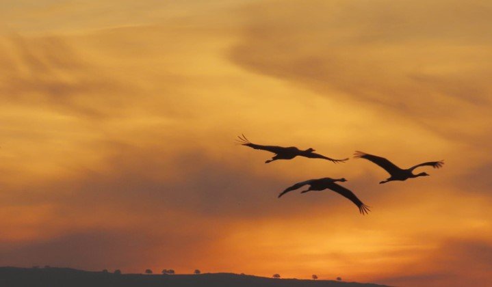 עינבר שלומית רובין, קק"ל