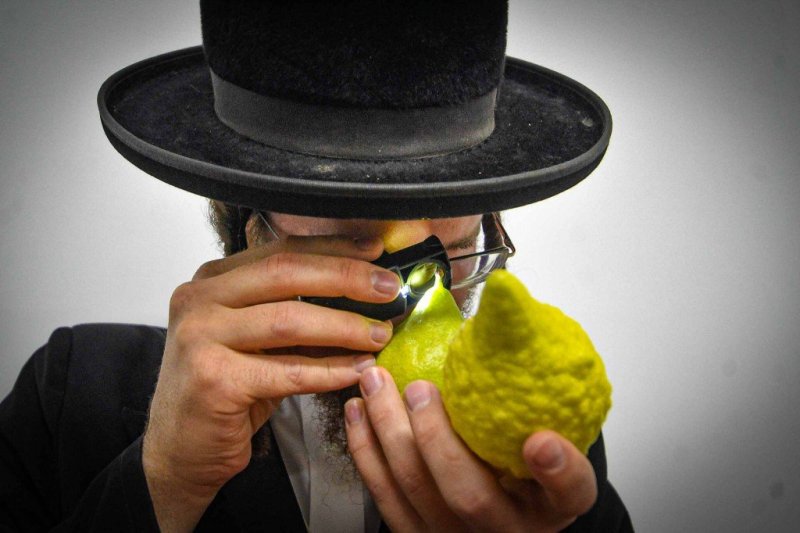 ארי קופרשטוק