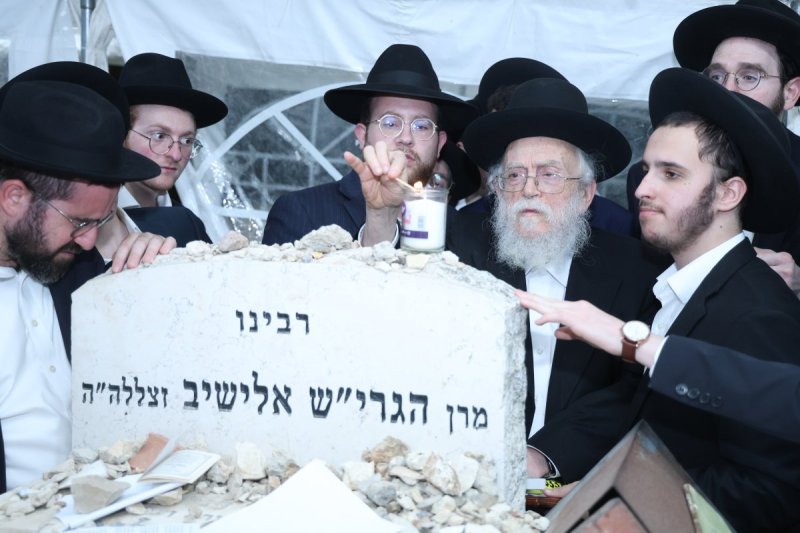 שלומי טריכטר