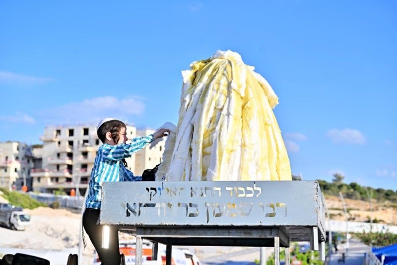יהושע פרוכטר