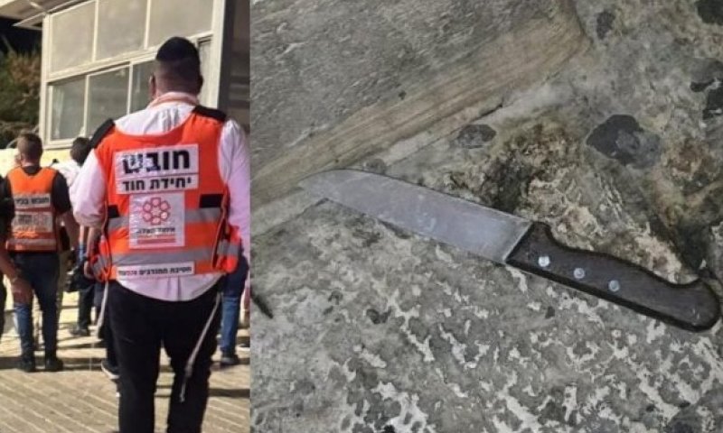 מחבל חוסל בשער שכם לאחר שניסה לבצע פיגוע דקירה