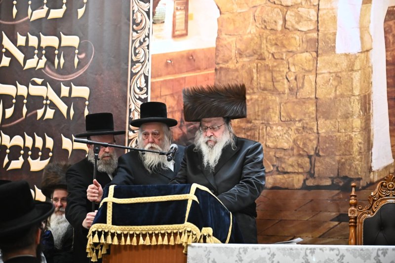 שוקי לרר