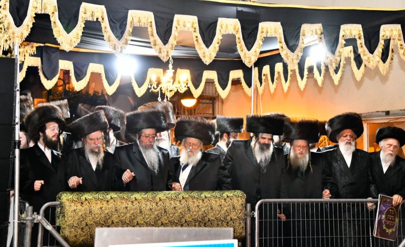 שוקי לרר