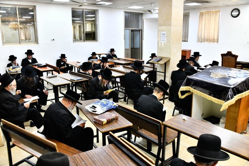 שוקי לרר