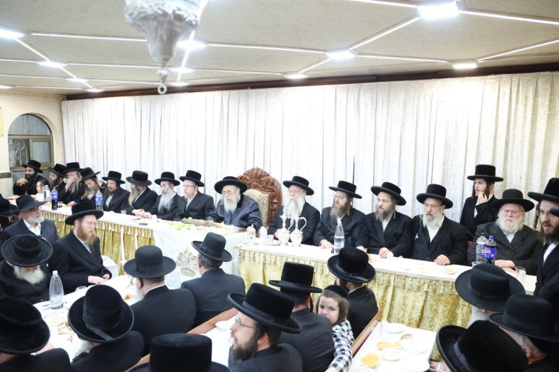 שלומי טריכטר