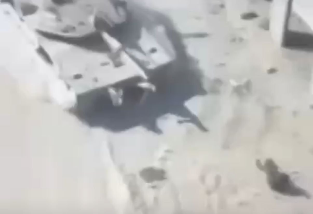 באדיבות המצלם