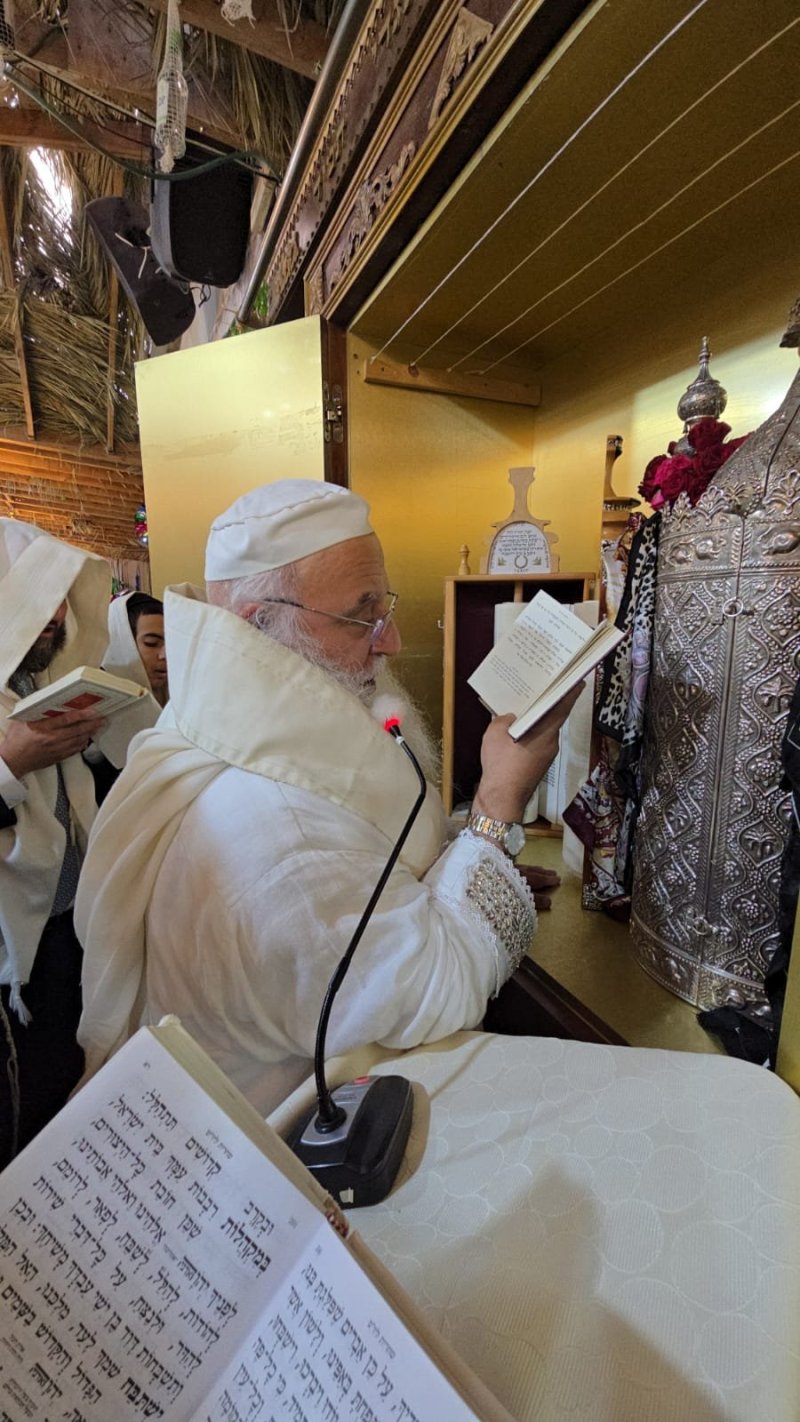 שלומי טריכטר ומ.פ