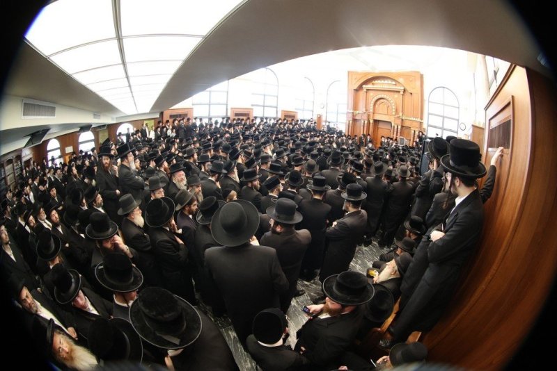 שלומי טריכטר