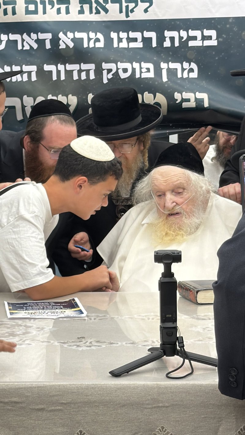 ליפא מוזר