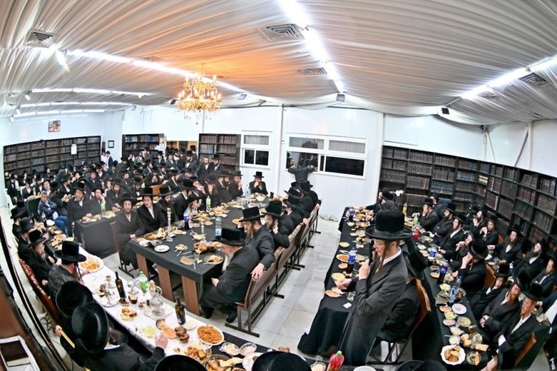 יהושע פרוכטר