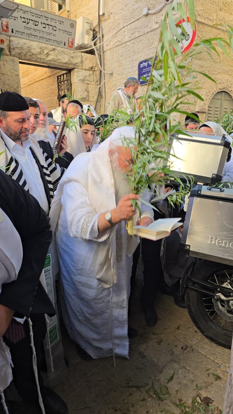 שלומי טריכטר ומ.פ