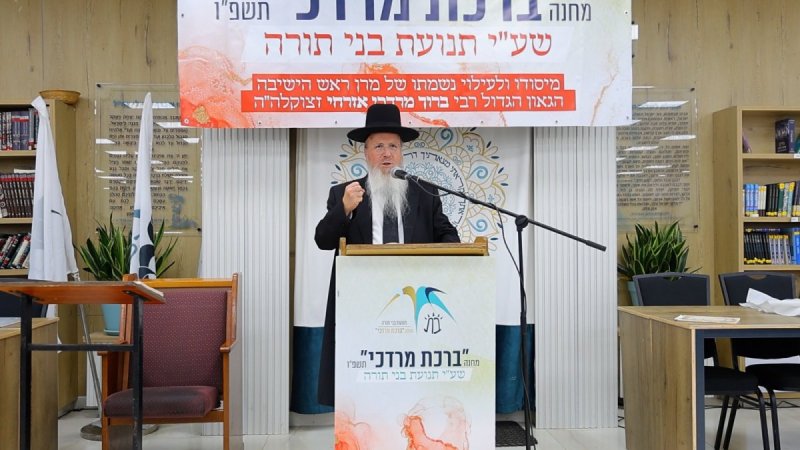 קובי לוי